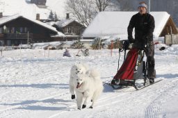 Lenk 2012 SM